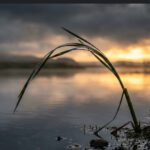 dream refused to die- Fabien's journey